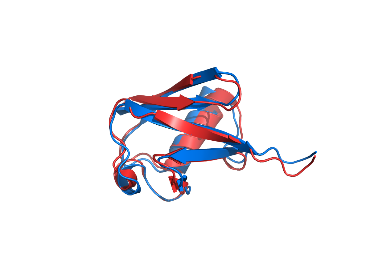 Ray-traced PyMOL overlay of transformed 1D3Z mobile and 1UBQ target ubiquitin structures