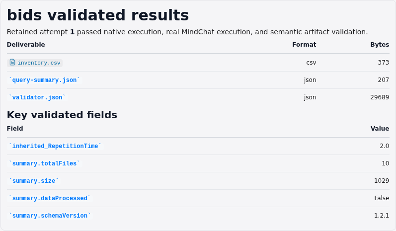 Focused chat results report for BIDS dataset construction, querying, and validation